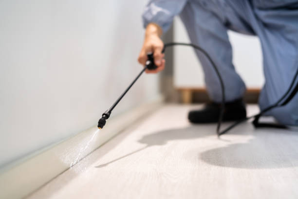 Professional exterminator conducting IPM assessment in Ashley