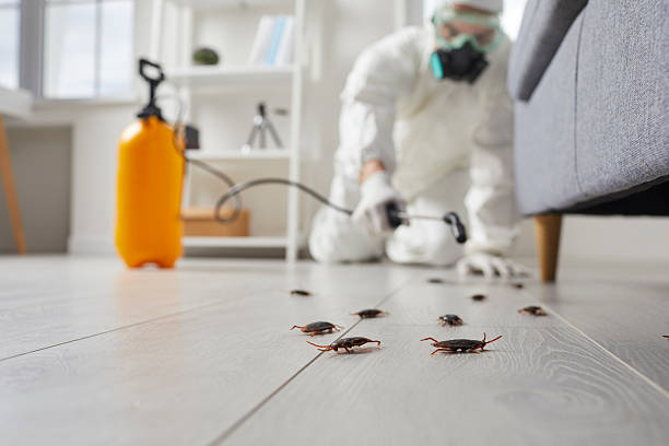 Commercial Kitchen Cockroach Control in Ashley